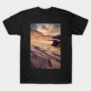 Man-made desert T-Shirt